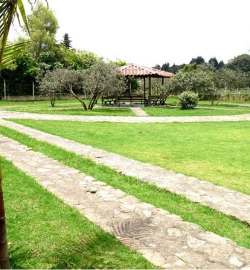 La Chaparrita - 2